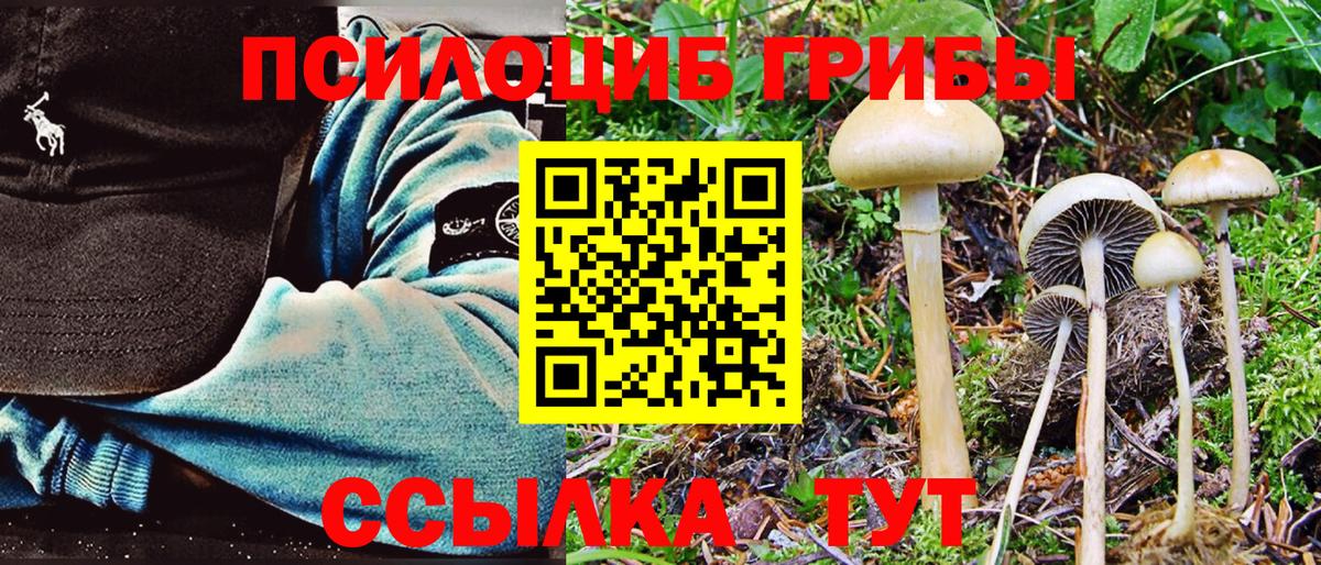 Псилоцибиновые грибы Magic Shrooms  Вход с VPN  Узловая 